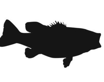340x270 Largemouth Bass Etsy Studio