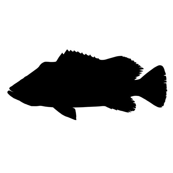 Smallmouth Bass Silhouette at GetDrawings | Free download