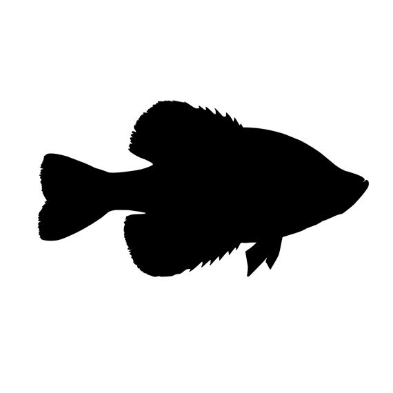 Smallmouth Bass Silhouette at GetDrawings | Free download