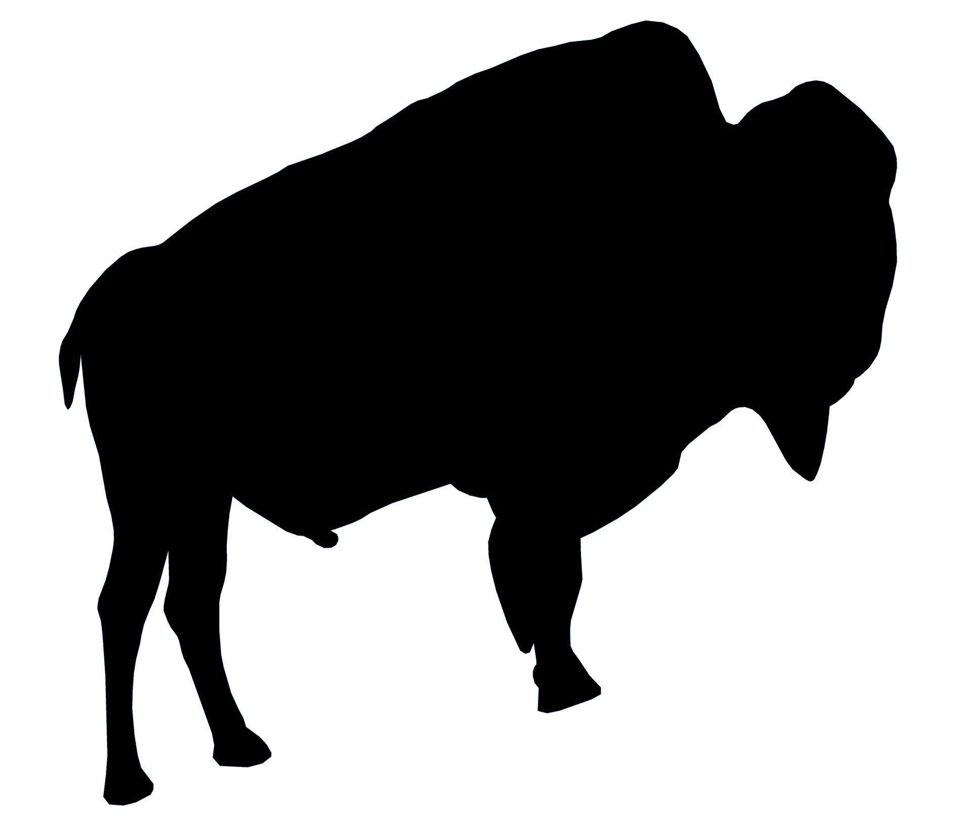 1919x1632 Black Bison Free Stock Photo
