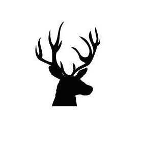 283x283 Followthestag Hashtag On Twitter