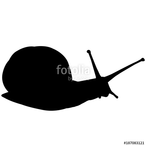 500x500 Sea Snail Silhouette Vector Graphics Stock Image And Royalty Free