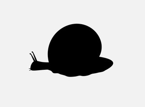 300x221 Snail Silhouette Vector Illustration Royalty Free Stock Image