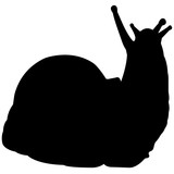 160x160 Land Snail Silhouette Vector Graphics Stock Image And Royalty