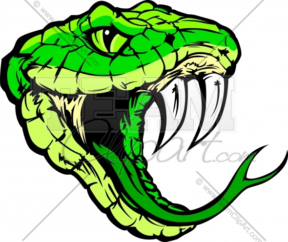 590x496 Viper Snake Head Clipart