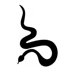 236x236 Snake Silhouette