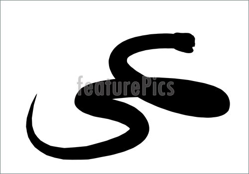 500x350 Snake Silhouette Illustration