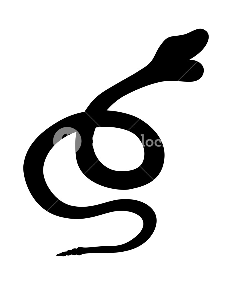 812x1000 Snake Silhouette Royalty Free Stock Image