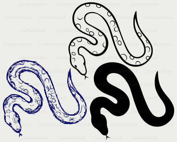 570x456 Black Snake Svgsnake Clipartsnake Svgsnake Silhouettesnake
