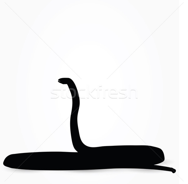 600x587 Snake Silhouette Vector Illustration Benguhan Ipekoz