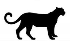 236x147 Leopard Silhouette Stock Photos, Images, Amp Pictures Shutterstock