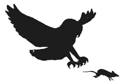 250x168 Vol 17, No 4