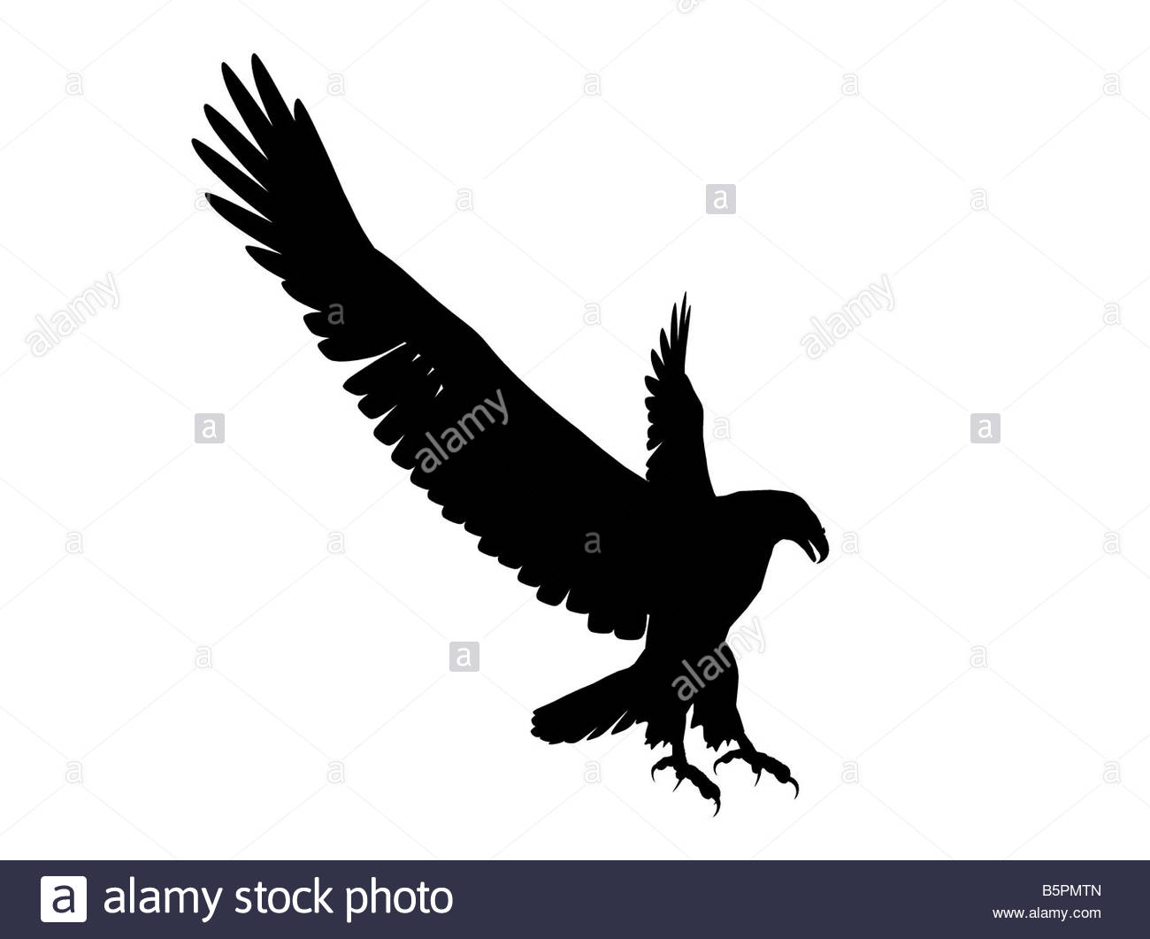 1300x1061 Illustration Of Eagle Flying Stock Photos Amp Illustration Of Eagle
