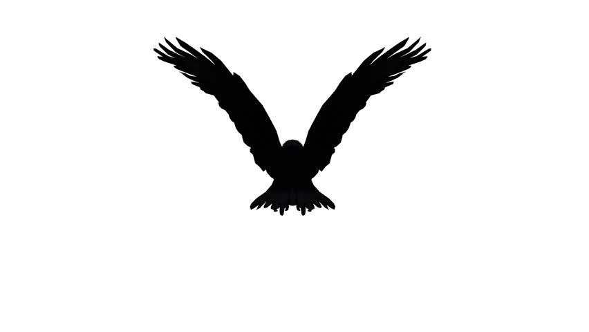 852x480 Images Of Flying Eagle Silhouette