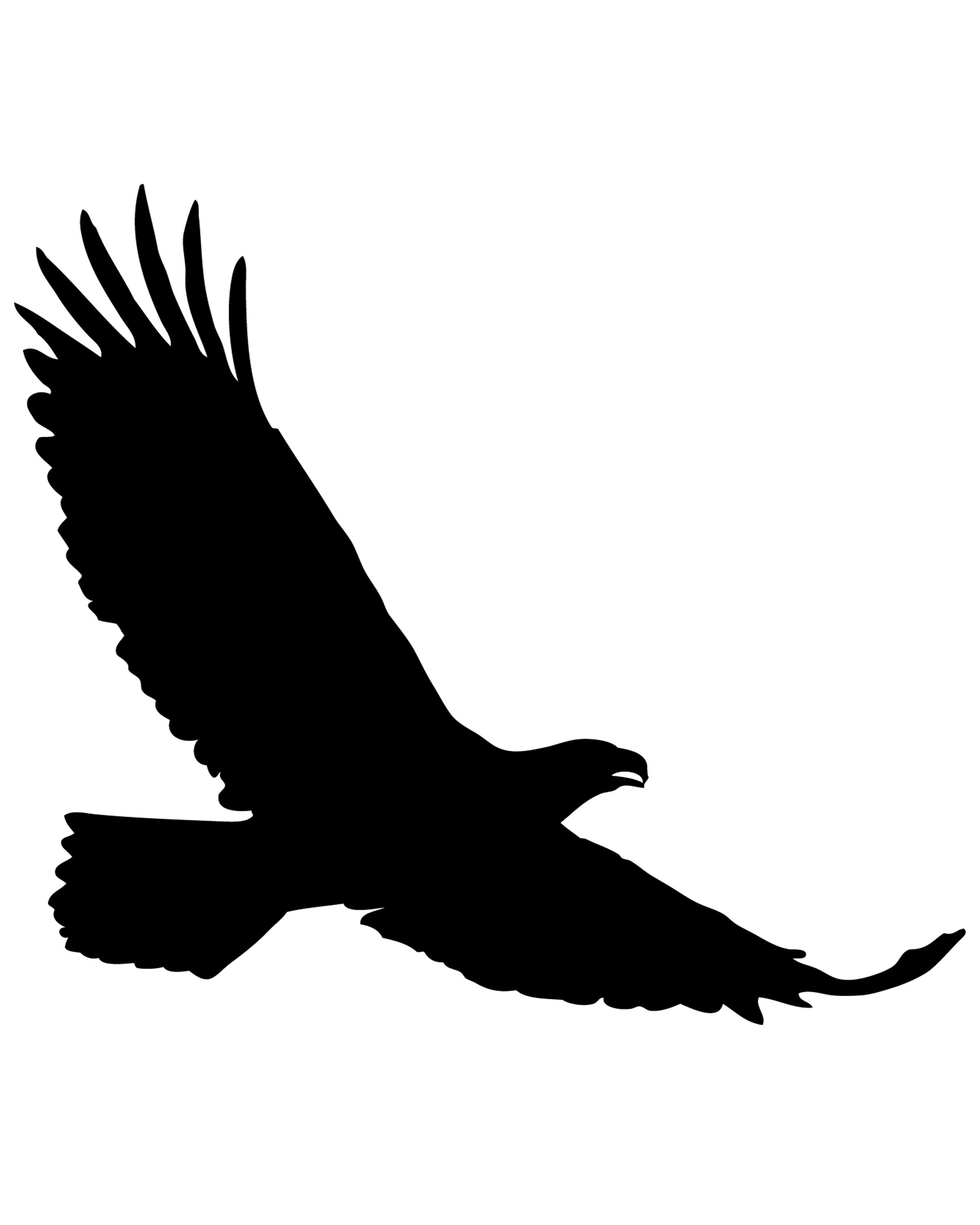 Soaring Eagle Silhouette at GetDrawings | Free download