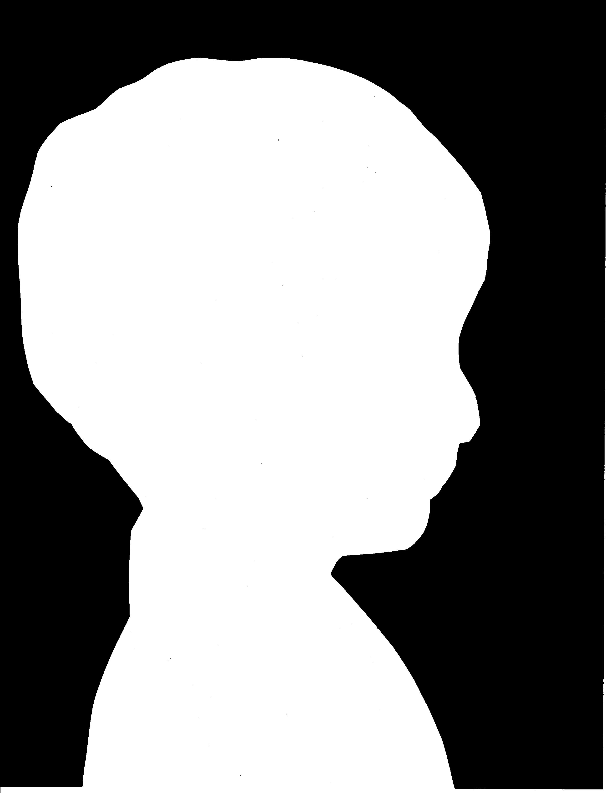 2544x3328 Toby's Reverse Silhouette