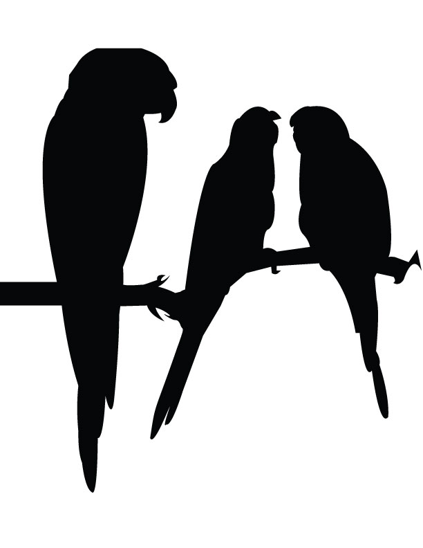 612x792 Bird Silhouette By Curious Lil Soul