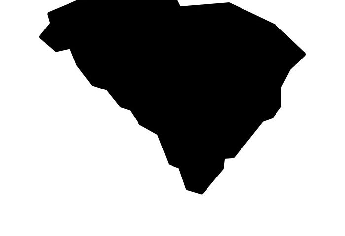 700x480 S. Carolina House Establishes A Task Force To Respond To Court