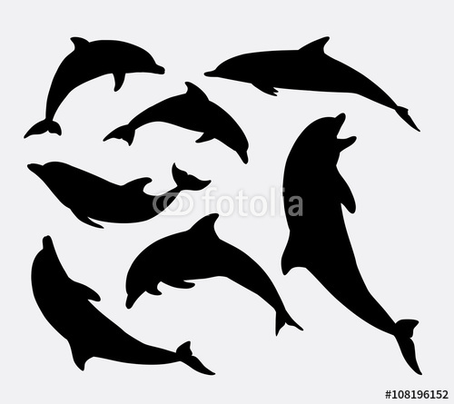 500x445 Eagle Eye Adventures