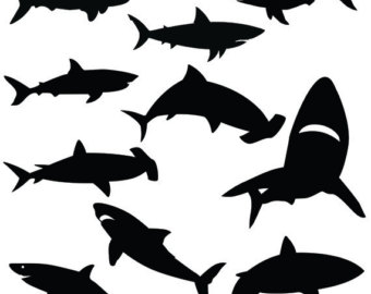 340x270 Shark Svg Boy Shark Svg Summer Svg Beach Svg Shark