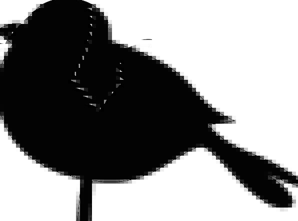 596x443 Tweet Pixcove