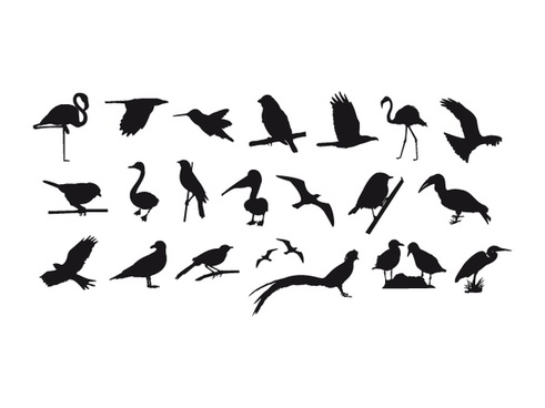 491x368 Sparrow Free Vector Download (41 Free Vector) For Commercial Use
