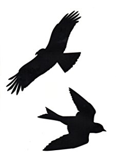 226x320 Chapelwood Window Silhouettes Amazon.co.uk Garden Amp Outdoors