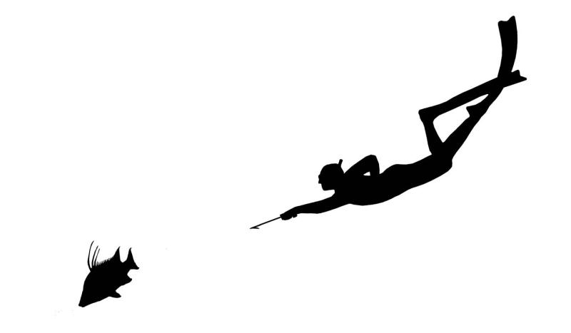 800x467 Style Sling And Hogfish