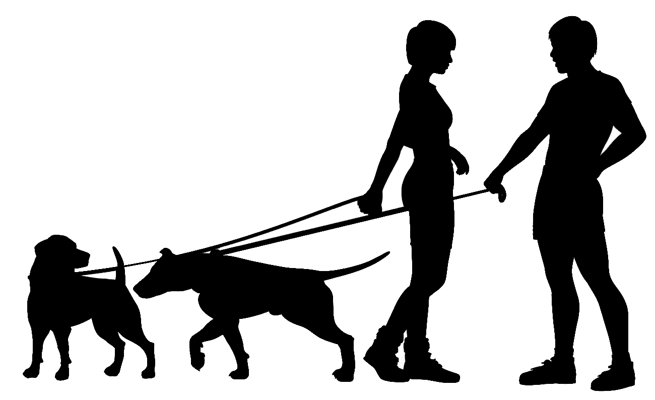 1300x794 Attachment Heal Grow For Acoas