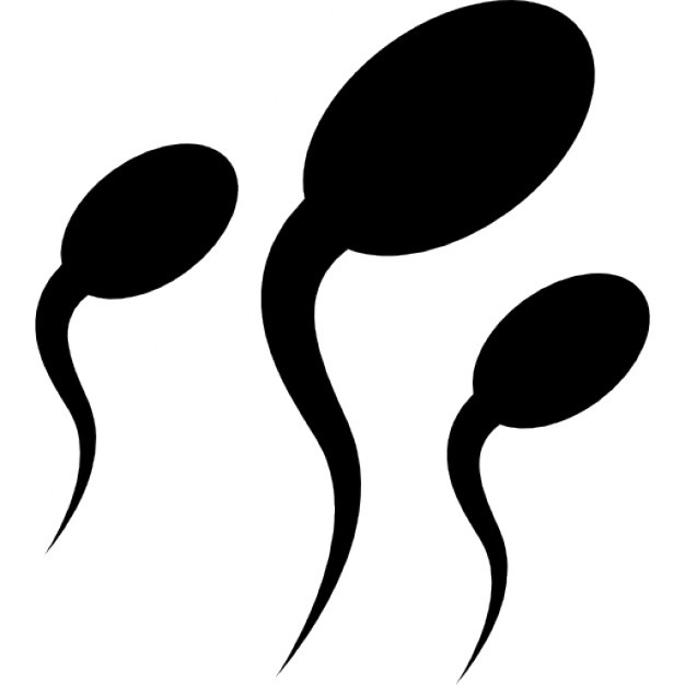 626x626 Sperm Vectors, Photos And Psd Files Free Download