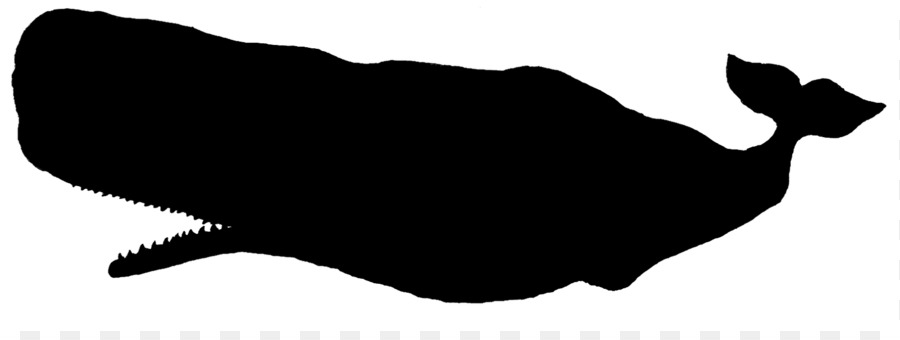900x340 Sperm Whale Silhouette Clip Art