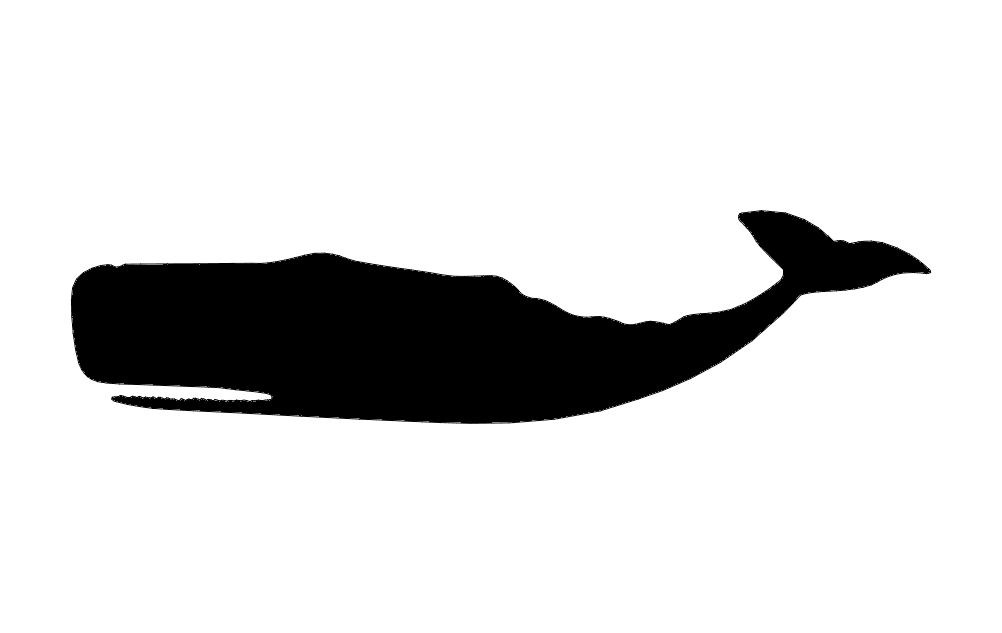 1002x633 Sperm Whale Silhouette Dxf File Free Download