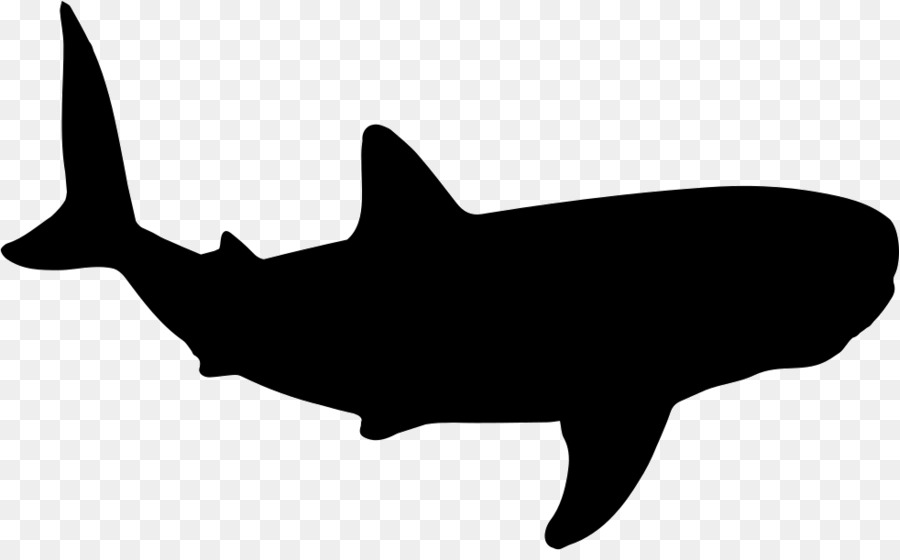 900x560 Whale Shark Sperm Whale Computer Icons