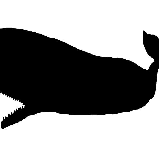 Sperm Whale Silhouette