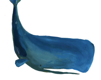 340x270 Sperm Whale Clipart Sketch