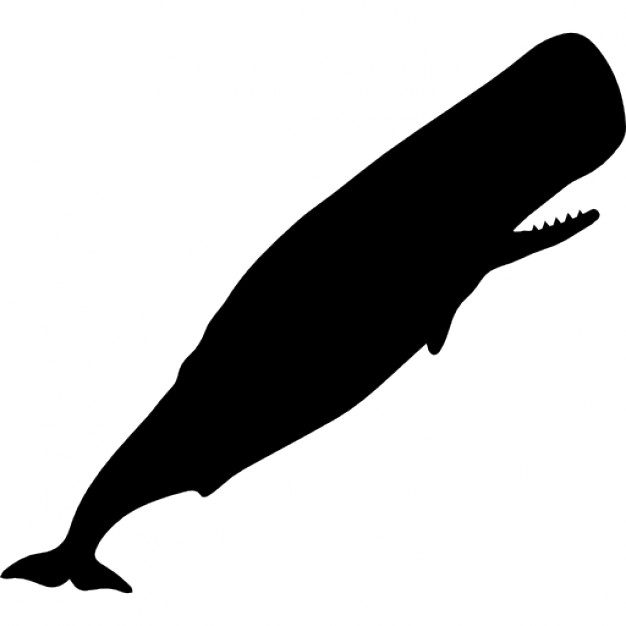 Sperm Whale Silhouette At Getdrawings Free Download