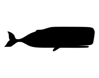 340x270 Sperm Whale Stickers Etsy