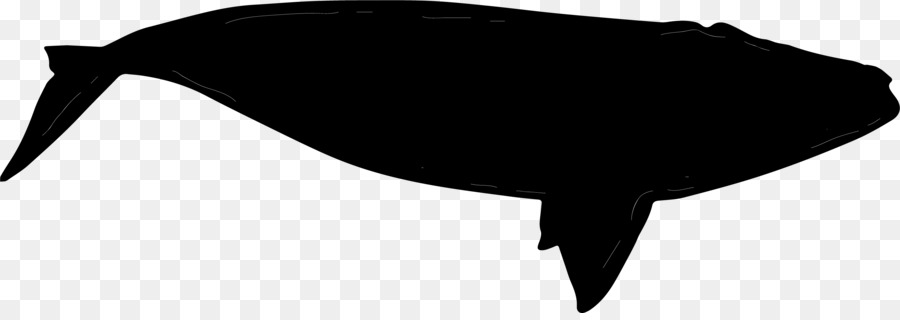 900x320 Black Beak Silhouette