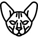 128x128 Sphynx Cat Vectors, Photos And Psd Files Free Download