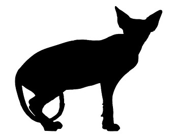 340x270 Sphynx Cat Clipart