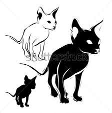 224x225 Hairless Cat Silhouette. Black. Outline. Drawing. Cats