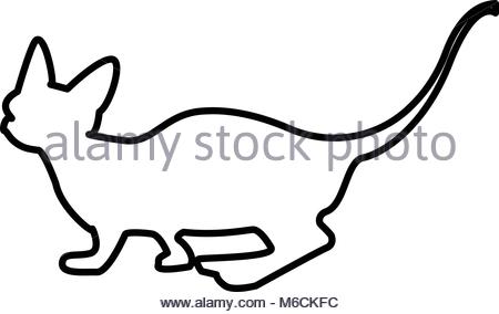 450x284 White Sphynx Cat Silhouette On Black Background Stock Vector Art