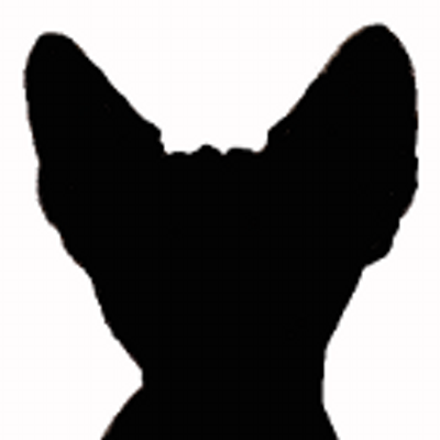 400x400 Sphynx Cat Blog (@sphynxcatblog) Twitter