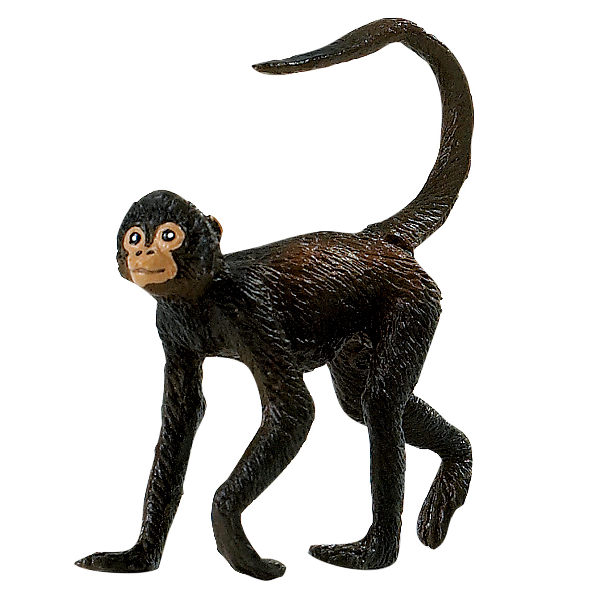 1200x1200 Safari Spider Monkey