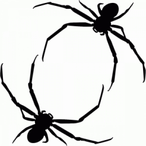 300x300 Silhouette Design Store