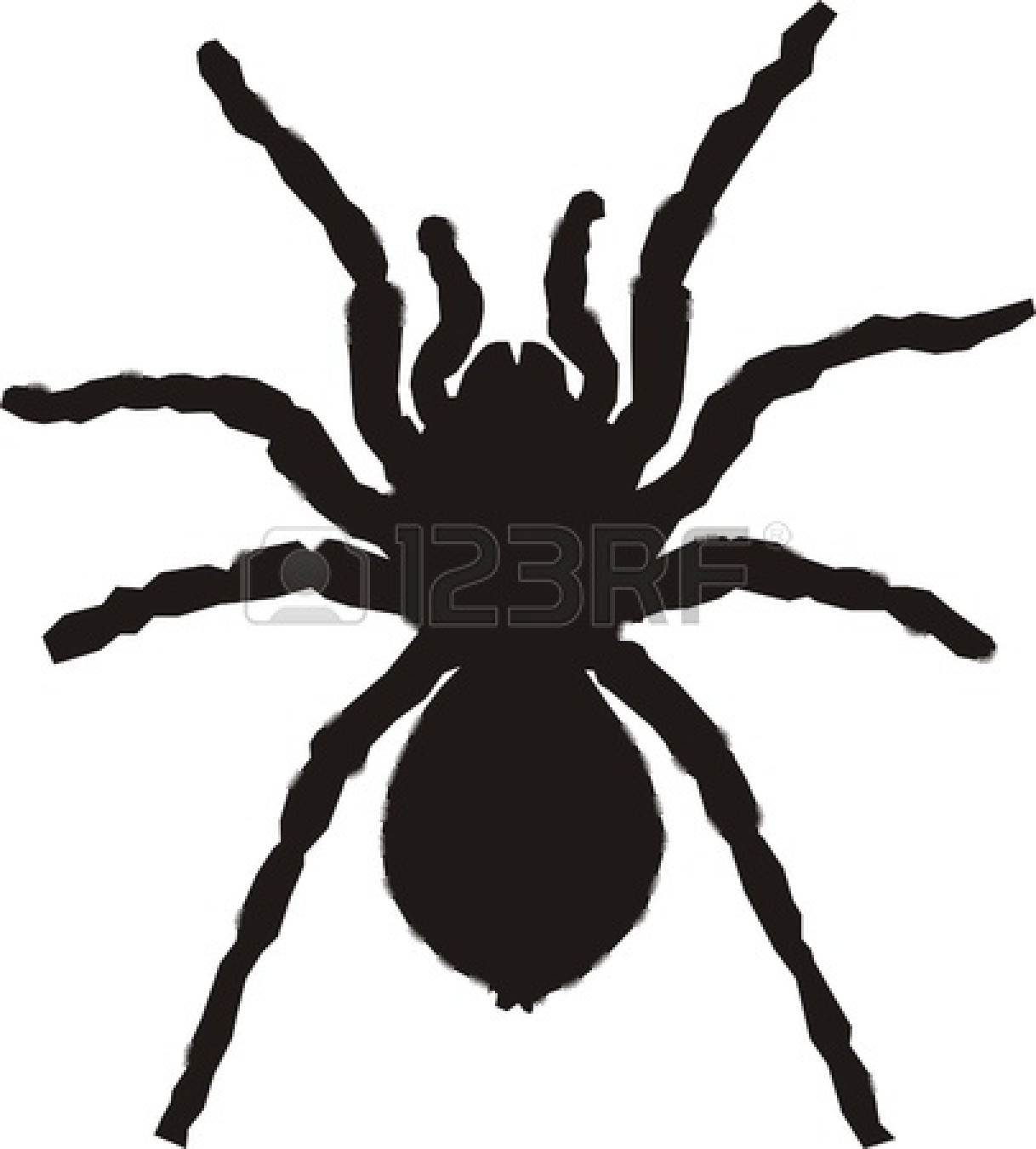 1218x1350 Spider Silhouette Stock Vector Katerinvr 1520942 Best Thebarnyard