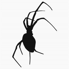 236x236 Free Spiders Clipart. Free Clipart Images, Graphics, Animated Gifs