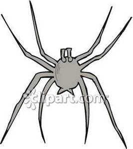 267x300 Spider Silhouette