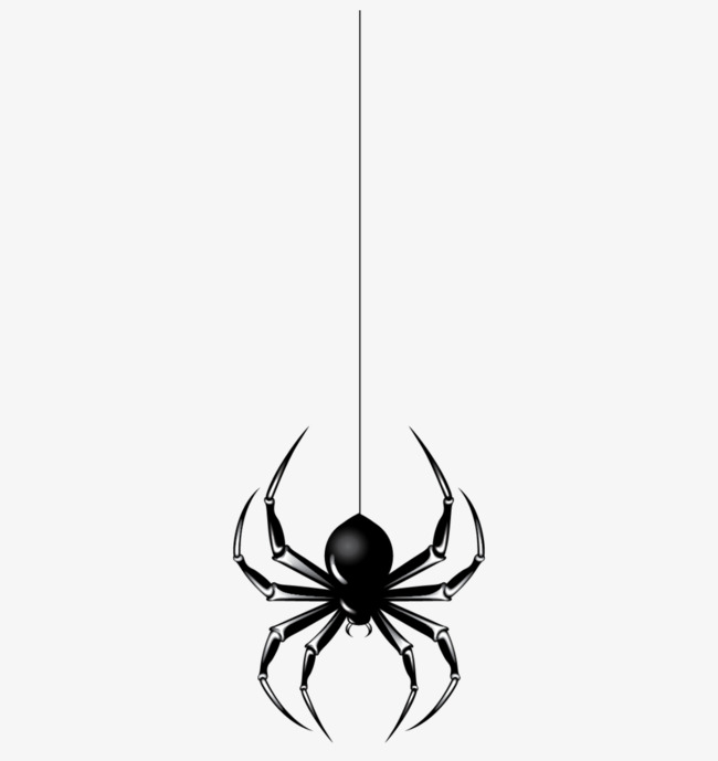 650x689 Black Spider Silhouette, Spider, Animal, Black Png Image