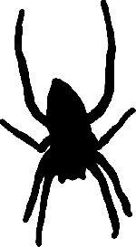 150x273 Silhouette, Spider, Web, Long, Legs, Arachnid
